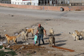 MVI_0147.00_03_25_00.Still002