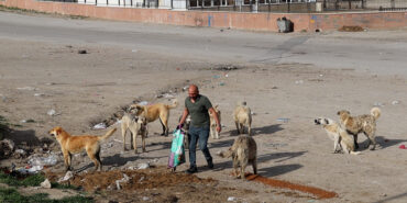 MVI_0147.00_03_25_00.Still002