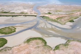 Sazliklar-buyuk-oranda-su-kaybetti--990x556