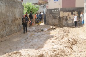 cizre-sel