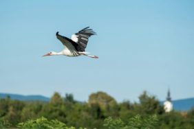 davor-denkovski-zbxhsb0od-e-unsplash-e1715337172642-800x400