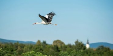 davor-denkovski-zbxhsb0od-e-unsplash-e1715337172642-800x400