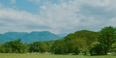 pexels-ian-panelo-20151111-990x556