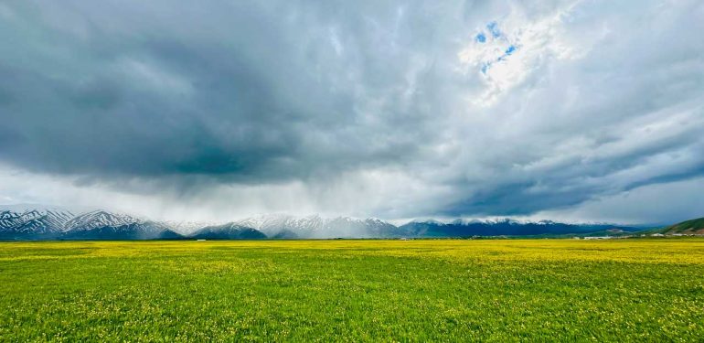 Yüksekova Ovası’nda  büyüleyici bir renk şöleni