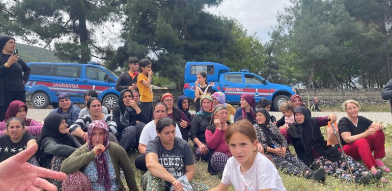 Antep’te ormanlık alana konut projesi
