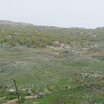 whatsapp-image-2024-05-06-at-125944-1