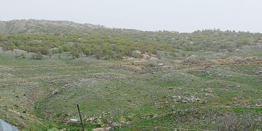 whatsapp-image-2024-05-06-at-125944-1