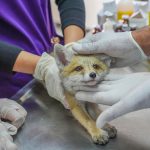 yeni-proje-2024-05-09t113631-369