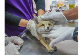 yeni-proje-2024-05-09t113631-369