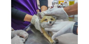 yeni-proje-2024-05-09t113631-369