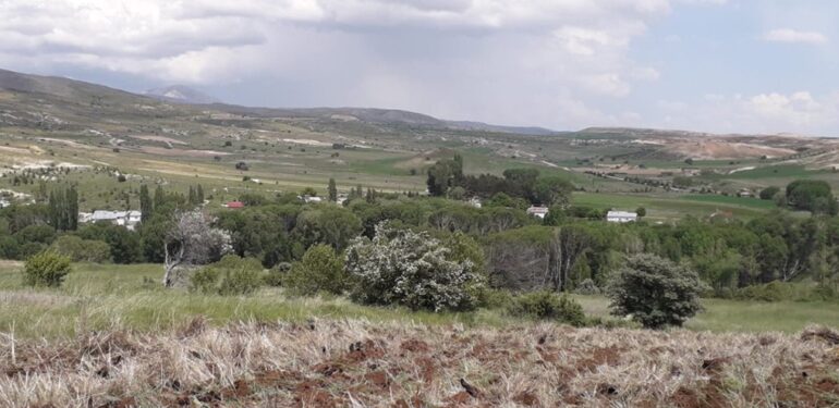 Sivas’ta mermer ocağı projesi: Alevi ziyaretgahı tehdit altında