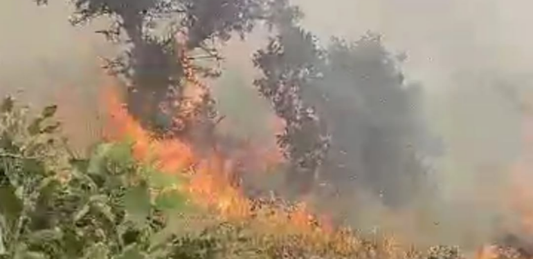 Bagok Dağı’nda çıkan yangın söndürüldü