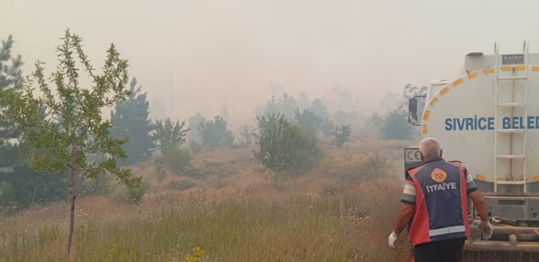 Elazığ’da ormanlık alanda çıkan yangın kontrol altına alındı