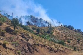 690x390cc-ady-27-06-2024-semsur-yangin1