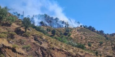 690x390cc-ady-27-06-2024-semsur-yangin1