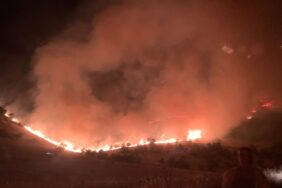 690x390cc-amd-21-06-2024-yangina-iliskin-ekoloji-sozcusu-melis-tantan-rop2