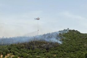 690x390cc-izm-14-06-2024-egede-orman-yanginlari1