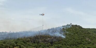 690x390cc-izm-14-06-2024-egede-orman-yanginlari1