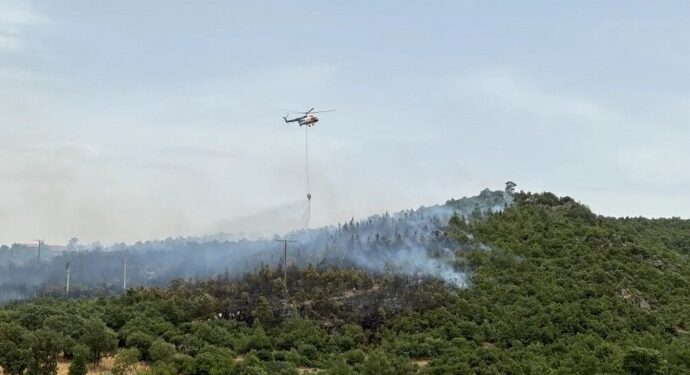Ege’de orman yangınları yayılıyor