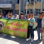 690x390cc-mgl-03-06-2024-yatagan-termik-santrali-aciklama