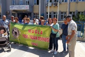 690x390cc-mgl-03-06-2024-yatagan-termik-santrali-aciklama