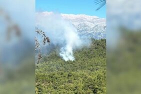 690x390cc-mrk-09-06-2024-antalyada-orman-yangini