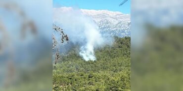 690x390cc-mrk-09-06-2024-antalyada-orman-yangini