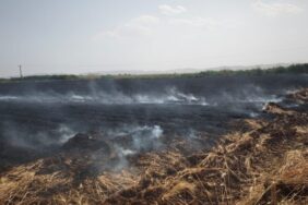 690x390cc-urf-23-06-2024-yanginlar-riha-tarim-orkam-sen-rop4