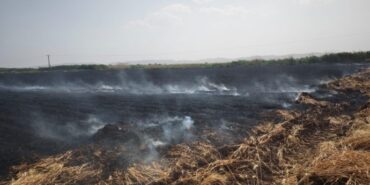 690x390cc-urf-23-06-2024-yanginlar-riha-tarim-orkam-sen-rop4