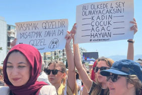 Ekran görüntüsü 2024-06-03 114425