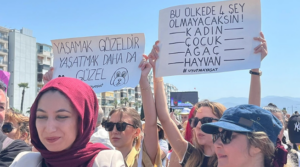 Ekran görüntüsü 2024-06-03 114425