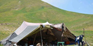 farasine-ulasan-gocerler-ilk-sut-sagimini-yapti-002