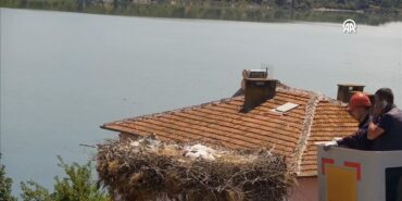 thumbs_b_c_48a04e881bdc3c90206c2a5baccc41f1