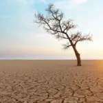 turkiyede-tarim-acisindan-kuraklik