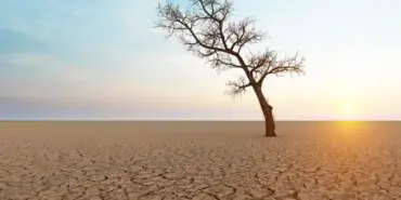 turkiyede-tarim-acisindan-kuraklik