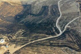 yangin-cinar-mazidag-003 (1)