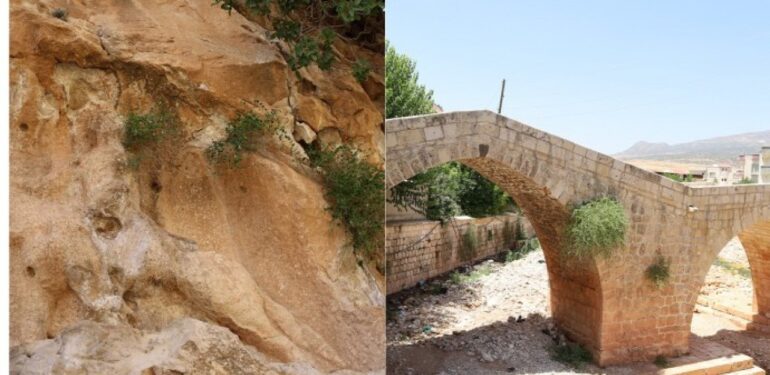 6 bin yıllık tarih baraj suları altında kalacak