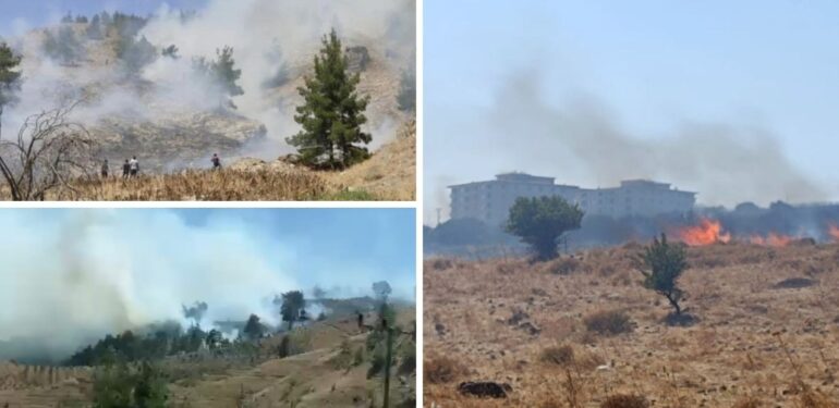 İzmir, Maraş ve Denizli’de orman yangınları