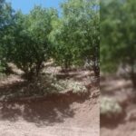 690x390cc-1-ozel-turkce-amd-16-07-2024-lice-maden-ocagina-karsi
