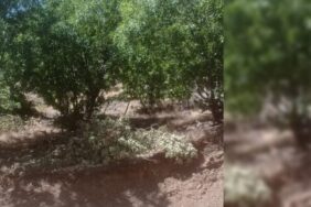 690x390cc-1-ozel-turkce-amd-16-07-2024-lice-maden-ocagina-karsi