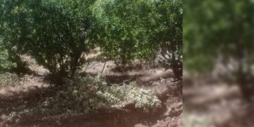 690x390cc-1-ozel-turkce-amd-16-07-2024-lice-maden-ocagina-karsi