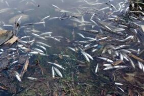 690x390cc-1-ozel-turkce-bolu-11-07-2024-gerede-cayi-temiz-aksin-platformu-rop