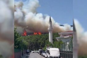 690x390cc-ist-21-07-2024-aydos-ormaninda-yangin-cikti