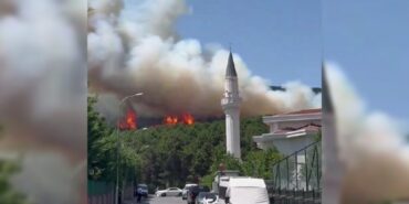 690x390cc-ist-21-07-2024-aydos-ormaninda-yangin-cikti