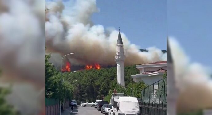İstanbul’daki Aydos Ormanı’nda yangın