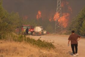 690x390cc-izm-19-07-2024-izmir-orman-yanginlari