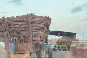 690x390cc-srnk-13-07-2024-gunden-cudi-dar-birin-destpekir1