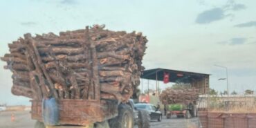 690x390cc-srnk-13-07-2024-gunden-cudi-dar-birin-destpekir1