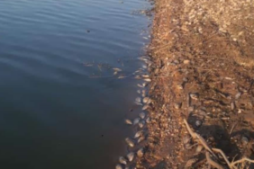 Ekran-Resmi-2024-07-22-10.32.19-990x556