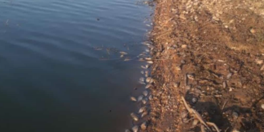 Ekran-Resmi-2024-07-22-10.32.19-990x556